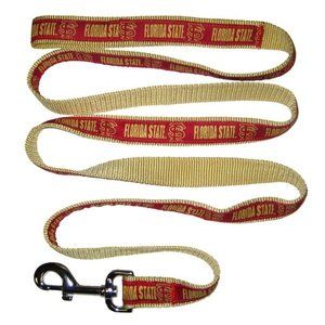FSU LEASH & COLLAR SMALL DOG/CAT SET NEW